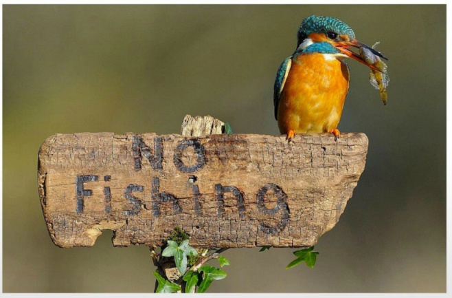 No fishing 