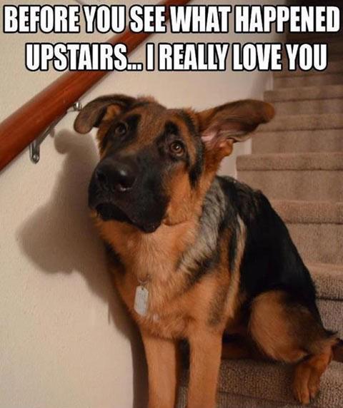 Before you see what happened upstairs...I really love you.