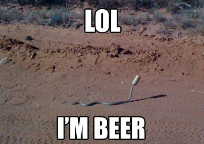 Snake - LOL I'M BEER 