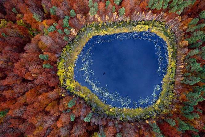 Aerial Photo of Kashubia Lake, Poland