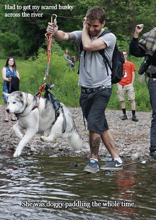 Dog - Had to get my scare husky across the river 
