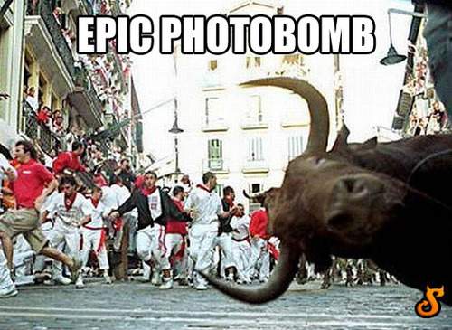 Epic photobomb - Running of the Bulls