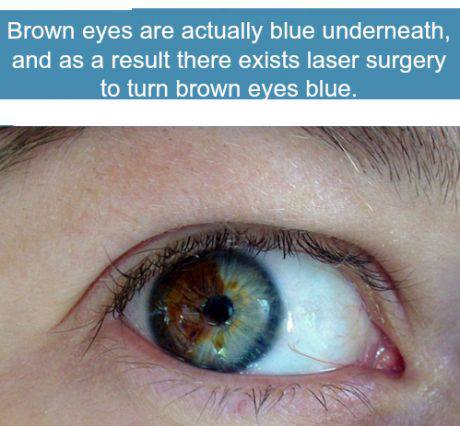 Brown eyes are actually blue underneath, and as a result there exists laser surgery to turn brown eyes blue.