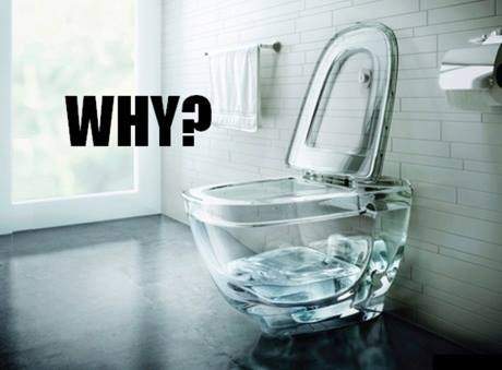 Glass toilet! Why?