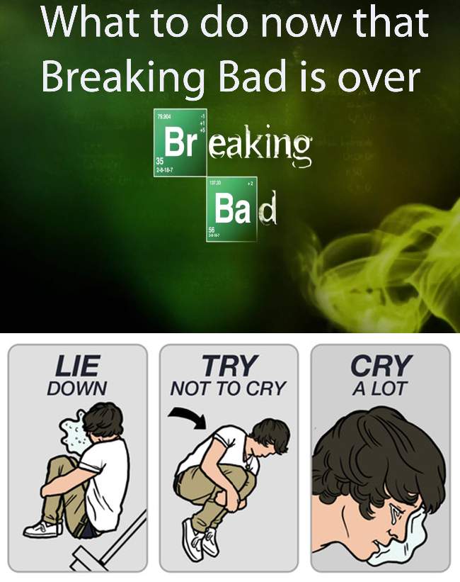 What to do now that Breaking Bad is over?