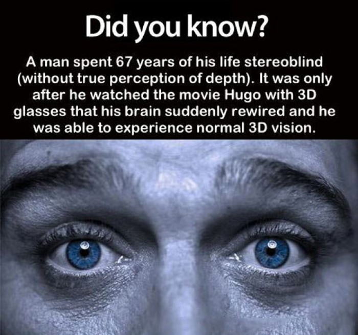 And Suddenly He Has 3D Perception