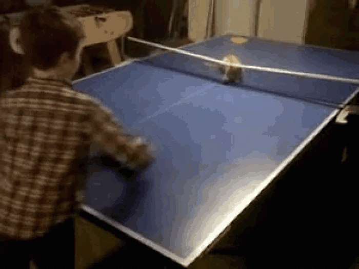 Kitty Ping Pong