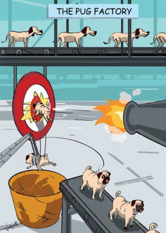 The Pug Factory