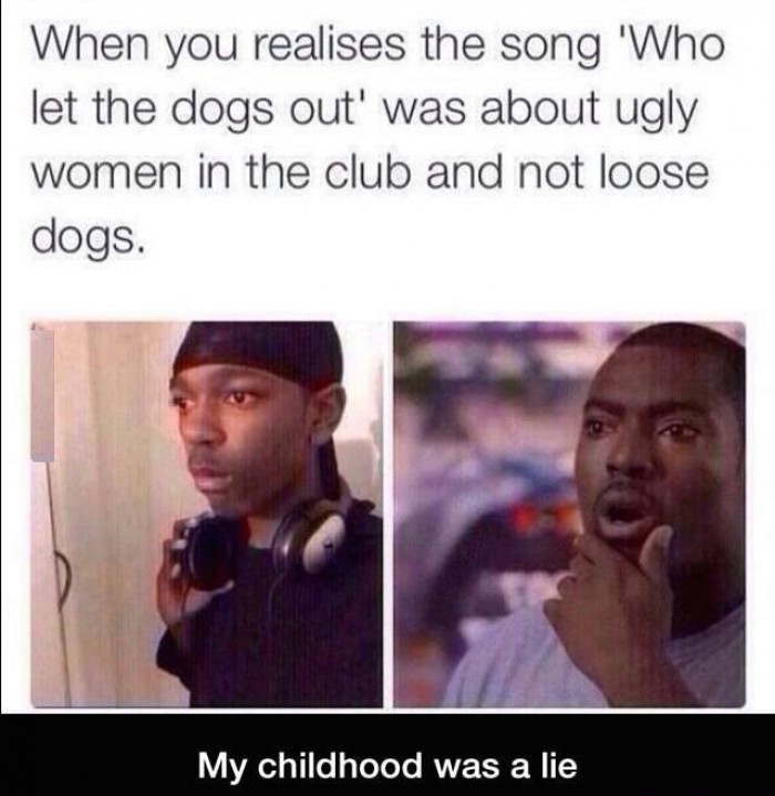 When you realises the song "Who let the dogs out" was about ugly women..