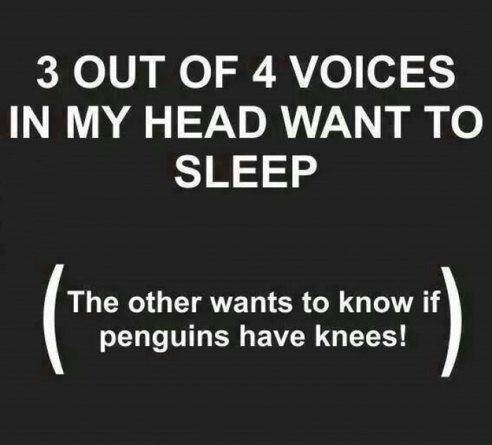 3 Out Of 4 Voices In My Head Want To Sleep