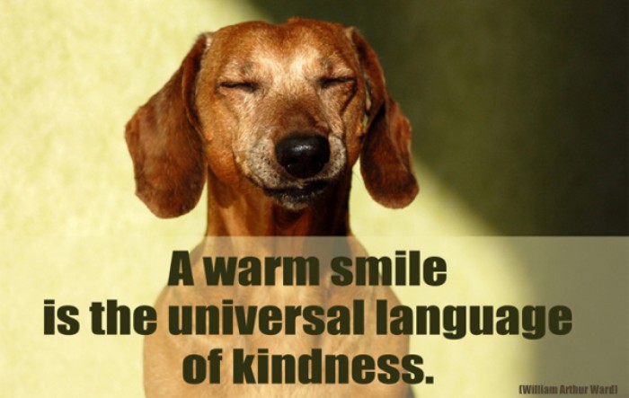 William Arthur Ward - A warm smile is the universal language of kindness.