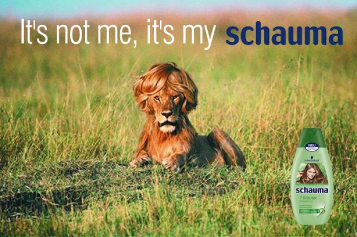 It's not me, it's my Schauma