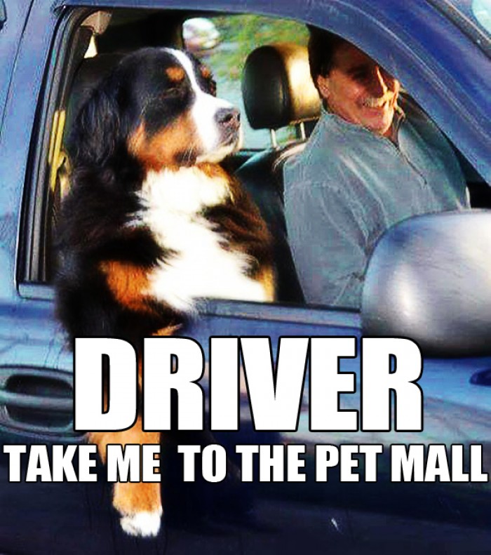 Driver, take me to the Pet Mall!