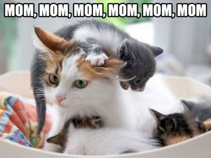 Mom, mom, mom, mom, mom... Kids can be annoying sometimes