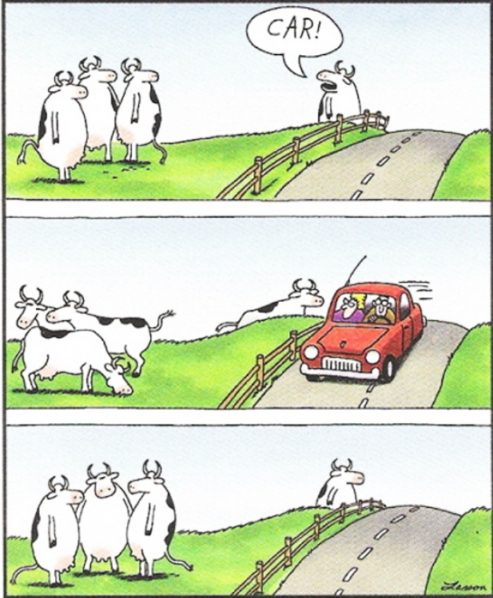 Gary Larson's cows