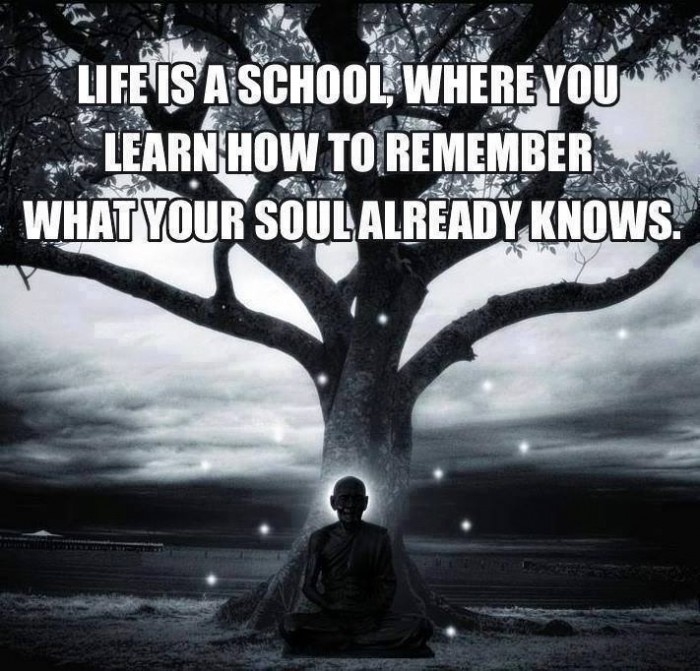 Life is a school, where you learn how to...