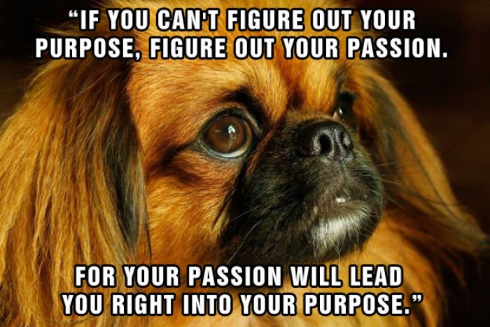 Purpose and Passion