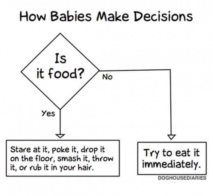 How Babies Make Decisions