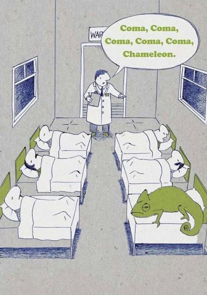 Hospital Coma Department - Coma, Chameleon