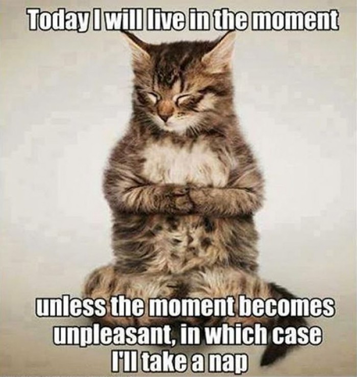 Today I will live in the moment unless the moment becomes unpleasant...