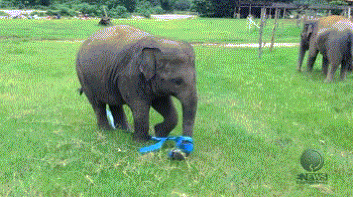 Me practising with gymnastics ribbon