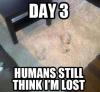 Day 3 Humans Still Think I