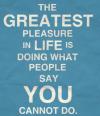 The great pleasure in life is doing what people say you cannot do.