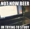 Not now beer I'm trying to study