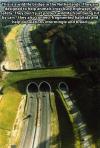 This is wildlife bridge in the Netherlands