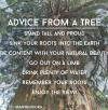 Advice From A Tree