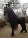 If Slash was a horse...