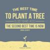 The Best Time To Plant A Tree