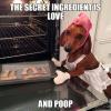 Cute Dog Baking Cookies