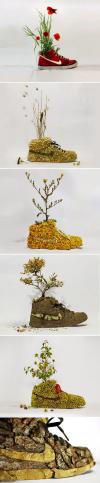 Christophe Guinet or Mr. Plant - Old Nike shoes sculptures