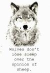 Wolves Just Don’t Care