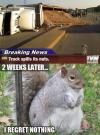 Breaking news ,Truck spills its nuts...