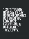 C.S. Lewis -  Isn