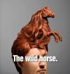 Hairstyles - The wild horse.