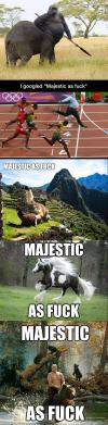 I googled Majestic as Fuck