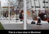 This is bus stopping in Montreal. Musical light swings on the streets of Montreal