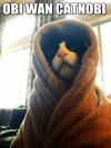 Obi Wan Cat