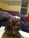 My friend works at bird of prey rehabilitation center..