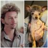 Joe Dirt Dog