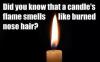 Did you know that candle's flames smell like...