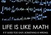 Life Is Like Math